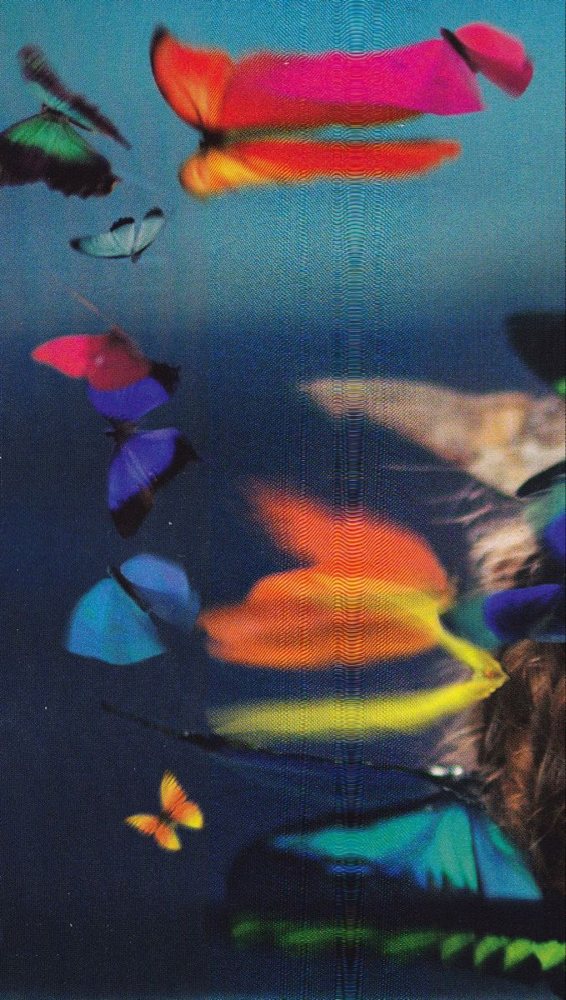 Collage de mariposas de colores en movimiento sobre azul